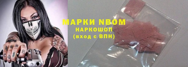 крисы Абаза