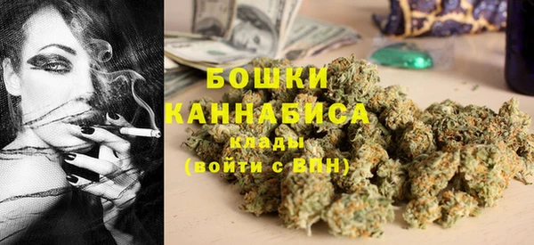 сатива Россошь