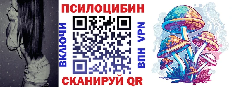 Галлюциногенные грибы GOLDEN TEACHER  купить наркотики цена  площадка клад  Гаджиево 